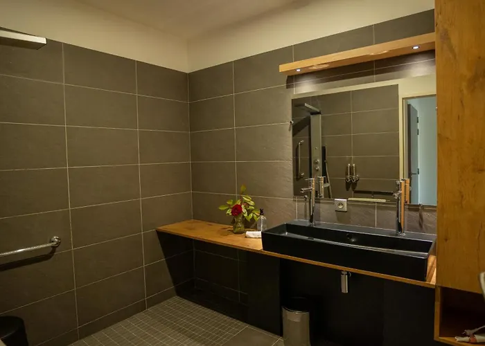 Appart hôtel Hôtel Les Villas du Parc de la Chabotterie Saint-Sulpice-le-Verdon