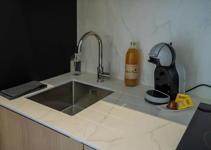 Hôtel Les Villas du Parc de la Chabotterie Appart hôtel 3*